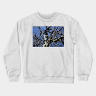 Bare tree with gnarled branches in winter, Germany Crewneck Sweatshirt